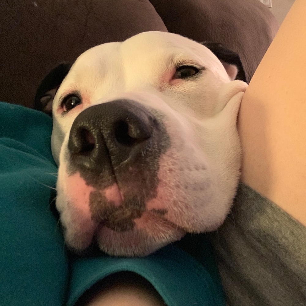 Meet your Posher, Lizz